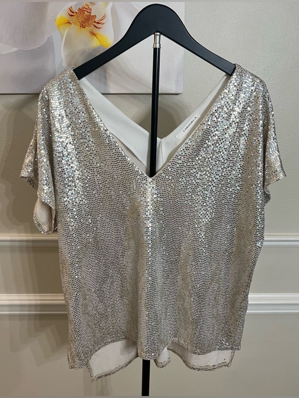 Caramela Silver Sequin V-Neck Blouse! Size Medium.